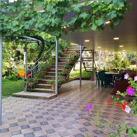 Valiko House In Telavi Hotel Luaran gambar