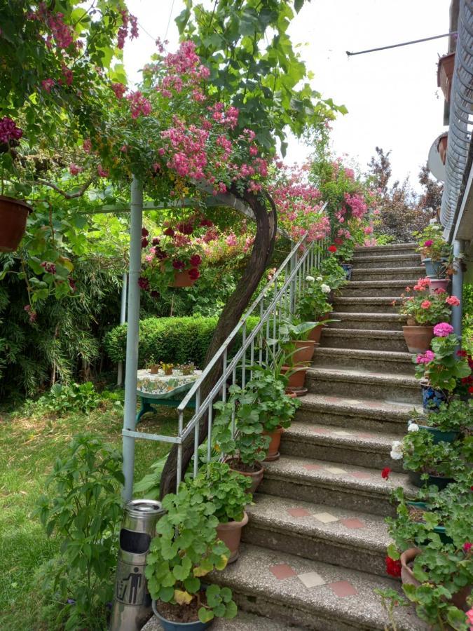 Valiko House In Telavi Hotel Luaran gambar
